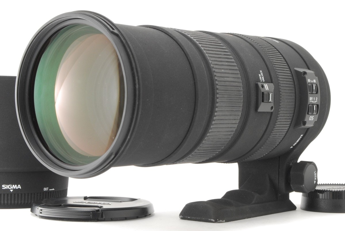 Sigma 150-500m f/5-6.3 APO HSM DG OS ニコン 【公式通販】