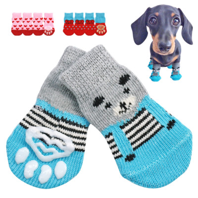 dogs socks and shoes