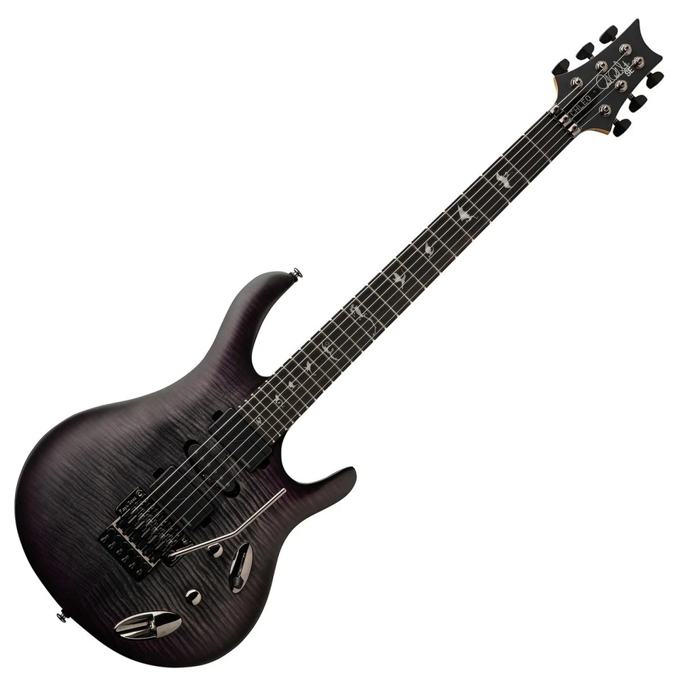 PRS SE Chleo Herman Li CPB E-Gitarre - Bild 1 von 1