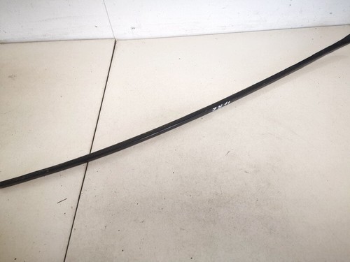 Windshield trim