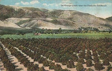 Postcard Orange Grove Hills Foothills California CA