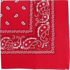 22 Inch Cotton Paisley Bandana