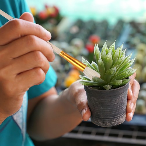 8Pcs Pollination Tool Kit For Handheld Fruit And Vegetable Pollination - 第 4/12 張圖片