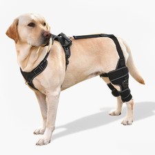 LG Dog Knee Brace with Adjustable Support   ACL  CCL Tear Recovery, Post-Surger