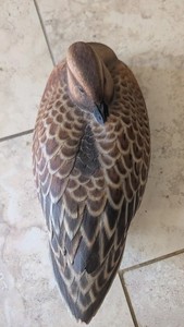 Vintage  Duck Decoy Sculpture Signed Folk Art Bird Figure