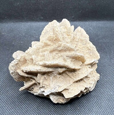 Desert Rose Gypsum Crystal Cluster from Mexico 