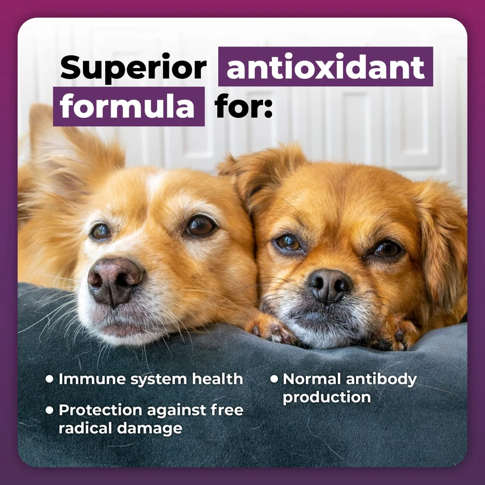 VETRISCIENCE Laboratories - Cell Advance 880, Immune Health Supplement for Dogs  - Image 4 of 4