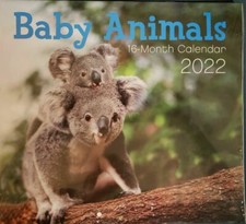 2022 Baby Animals 16 Month Wall Calendar 11" X 20"