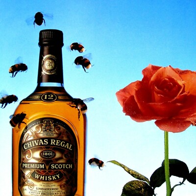 稀少❣️ヴィンテージ品✨CHIVAS REGALミラー 80×61cm BEECO s-l400.jpg