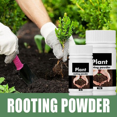 Rooting Powder Promotes Healthy Roots Natural 50g/100g Sale Gardening 