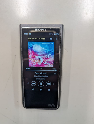 Sony Walkman NW-ZX507 64GB Black Hi-Res Digital Audio Player 