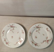 ANTIGUO Theodore Haviland Limoges Francia Patente Aplicada 2 Platos de Cena Floral