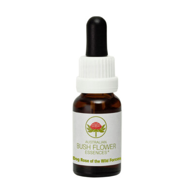 DOG ROSE OF THE WILD FORCES Australian Bush Flower Essences Buschblüten