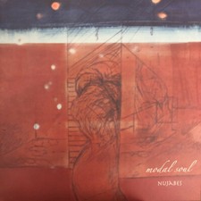 NUJABES Modal Soul JAPAN Vinyl HOLP-004 NEW s9074