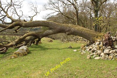 Foto 6x4 Gleis zum Lagg Torhaus der Flotte um 2015