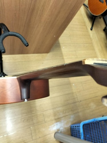 Seagull S12 Plus Cedar Acoustic - Picture 12 of 15