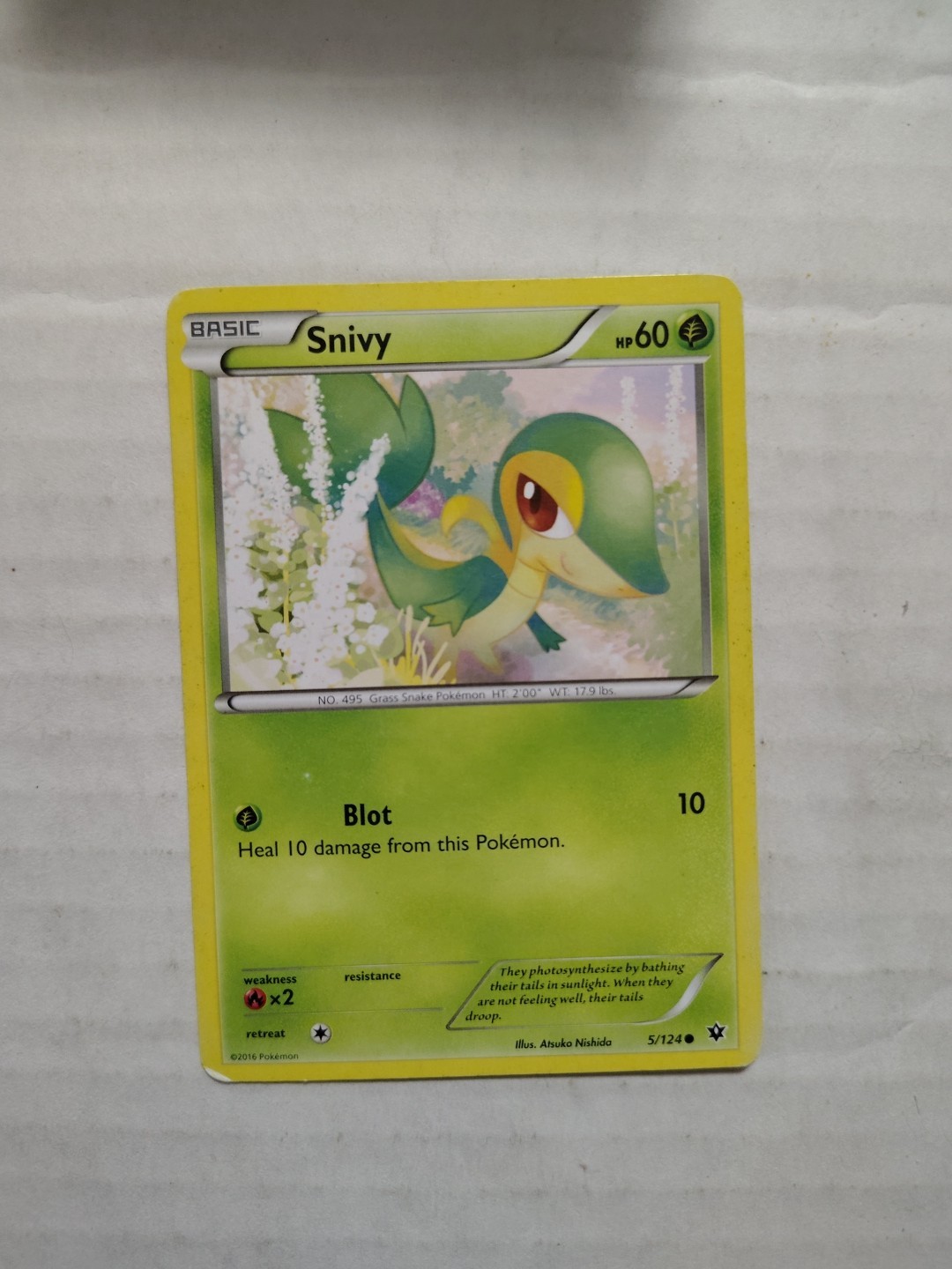 Snivy 5/124- Fates Collide- Regular Common
