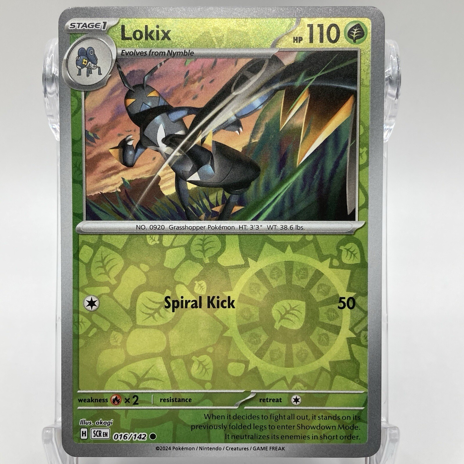 Lokix Reverse Holo Common 016/142 Pokémon TCG Stellar Crown NM/M