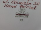 Picture 11 of 16