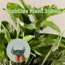 Didiseaon Pflanzenclips 50 Stück - Grüne Klammern Für Tomaten, Orchideen & Kletterpflanzen