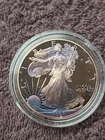 1998 P Silver Eagle Toned American Eagle Silver Coin ASE Toning