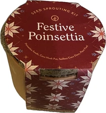 2021 FESTIVE. POINSETTIA SEED SPROUTING KIT TERRA COTTA POT FLAWED MODERN SPROUT