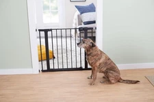 Safety 1st Easy Install Walk Through Gate, Black