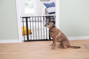 Safety 1st Easy Install Walk Through Gate, Black