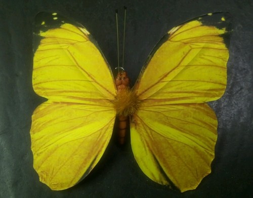 6 BUTTERFLIES 3D PAPER YELLOW REALISTIC CLIP ON DECORATIVE FLORAL HOME DECOR - Picture 2 of 9