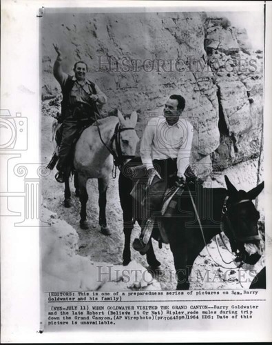 Pressefoto Barry Goldwater & Robert Ripley reiten Pantoletten zum Grand Canyon, Arizona
