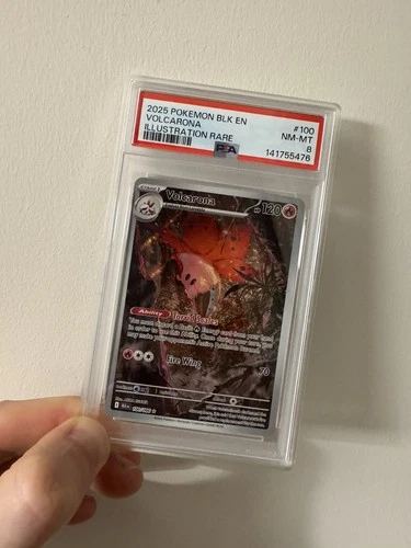 Pokémon TCG S&V Black Bolt Volcarona Illustration Rare 100/086 PSA 8