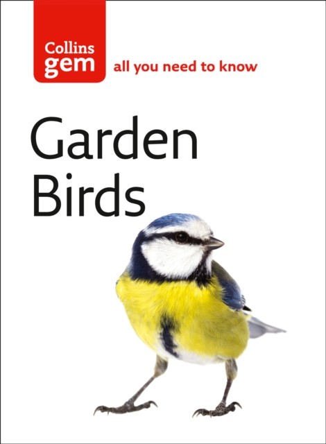 Garden Birds by Stephen Moss (Paperback Book)