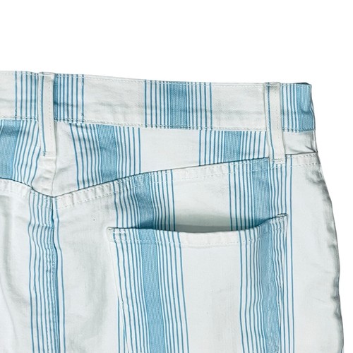 Frame Denim Skirt Light/Blue White Vertical Stripes Front Zip Sz 29 Made/US NWOT - Picture 6 of 11