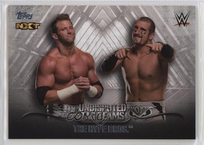 2016 Topps WWE Undisputed Tag Teams The Hype Bros #UTT-18 Patch Tag 8d4