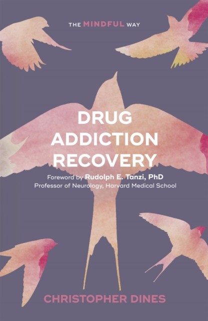 Drug Addiction Recovery by Christopher Dines (Paperback Book)