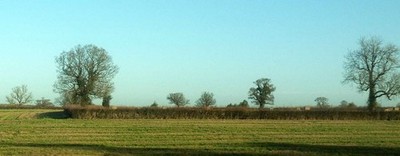 Foto 6x4 Bäume entlang Feldgrenzen bei Littleton Drew Horsedown Seve c2018