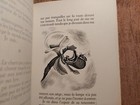 Bild 13 von 24