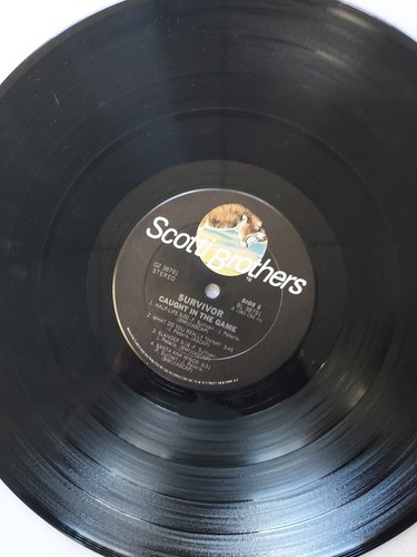 Vinyl Record LP Survivor Caught in the Game VG - Picture 8 of 8