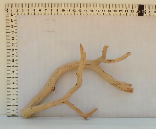 Lovely Manzanita Driftwood Branch Aquarium Decor from Manzanita Direct 0403-3 - Picture 15 of 15