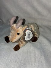 TY BEANIE BABIES  GOATEE
