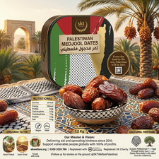 Skt Large Medjool Medjoul Dates 1.2kg PALESTINE PALESTINIAN DATES 13.33 per kilo