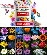 HOME GROWN 90,000+ Wildflower Seeds Mix 3Oz 24 Varieties Non-Gmo Perennial Flowe 150.72 per gallon