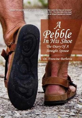 A Pebble In His Shoe - Hardcover, by Barbetta Dr Francine - Very Good b