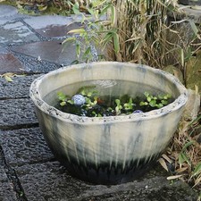 Size 20 White-Flow Shigaraki Water Basin (Lily/Goldfish Bowl)