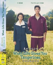 DVD KOREAN DRAMA WHEN LIFE GIVES YOU TANGERINES VOL.1-16 END ENG SUB-REG ALL