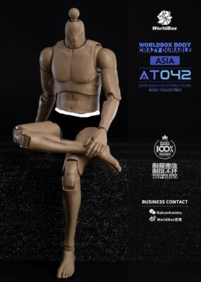 WorldBox AT042 1/6 Muscular Asian narrow shoulder Body 12