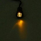 Bild 12 von 24