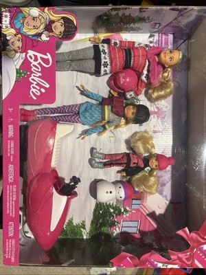 Barbie FDR73 Sisters Snow Fun Doll Giftset for sale online