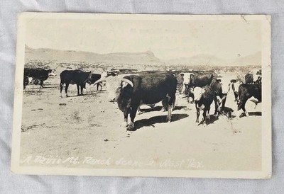 Vintage West Texas Cattle Ranch Scene Postcard Briscoe County Cowboy Range
