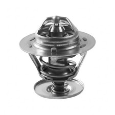 Thermostat Ford P 100
